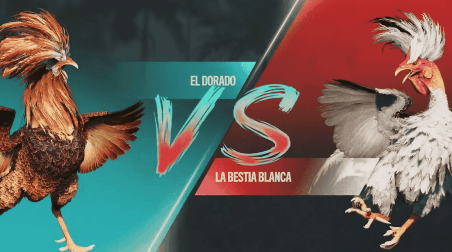 ccccjogo App Baixar Brasil Slots
